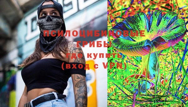 соль ск Лагань