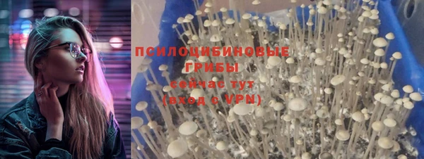 бутират Лабытнанги