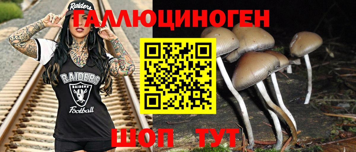 Галлюциногенные грибы MAGIC MUSHROOMS  Галлюциногенные грибы мухоморы  Вход с VPN  Серпухов 